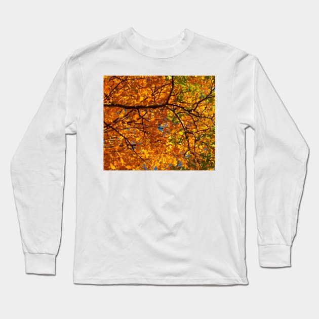 Leaves of Change Long Sleeve T-Shirt by StevenElliot